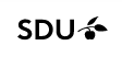 University of Southern Denmark logo