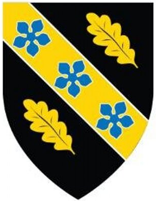 University of Wales Trinity Saint David logo